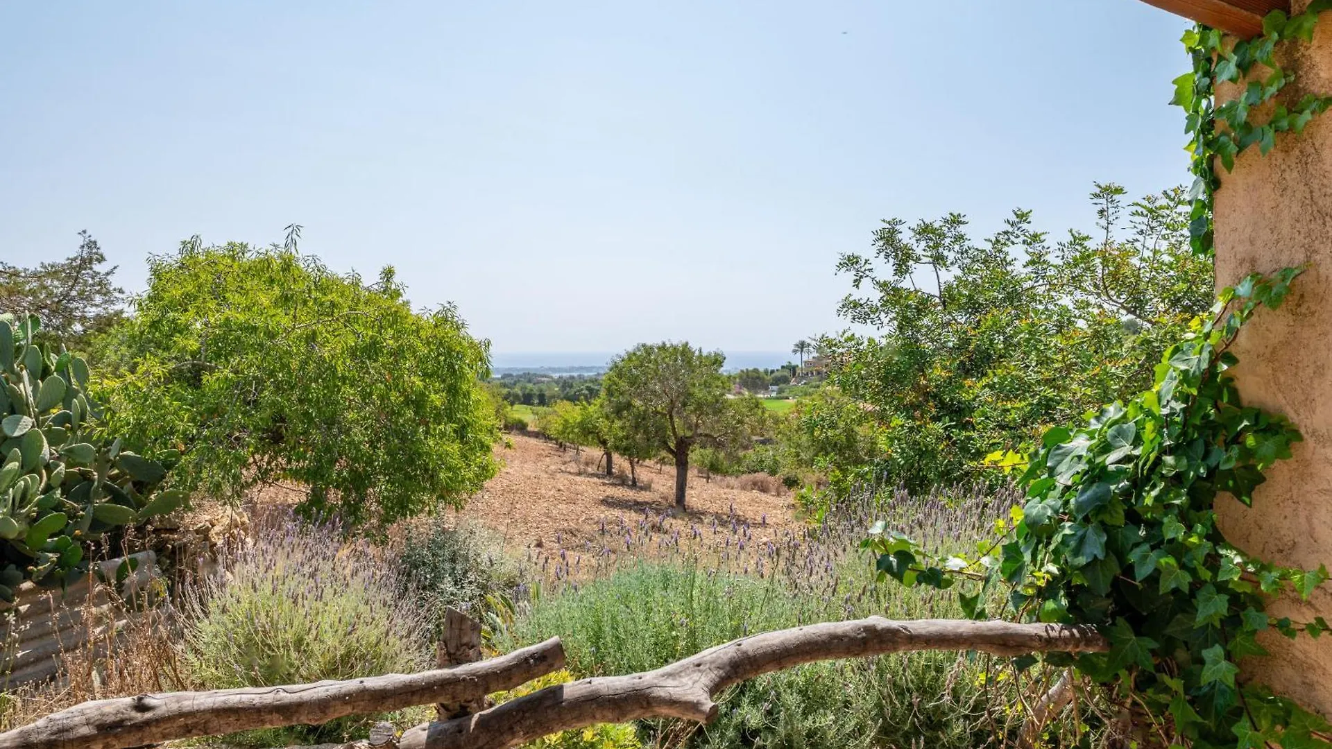 Finca Es Reguerons Petit Puerto Colom Feriehus